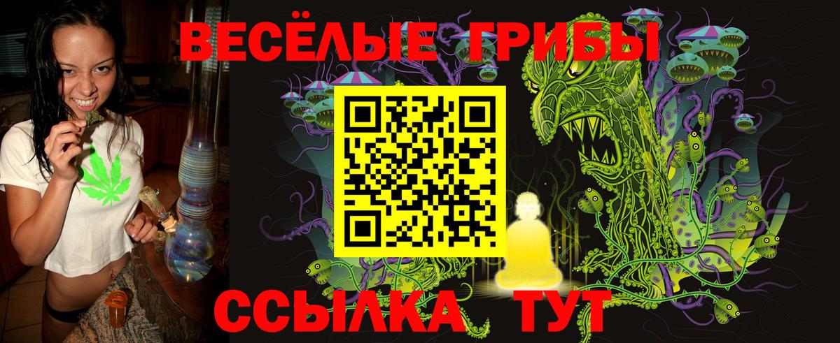 Галлюциногенные грибы Psilocybe Ханты-Мансийск
