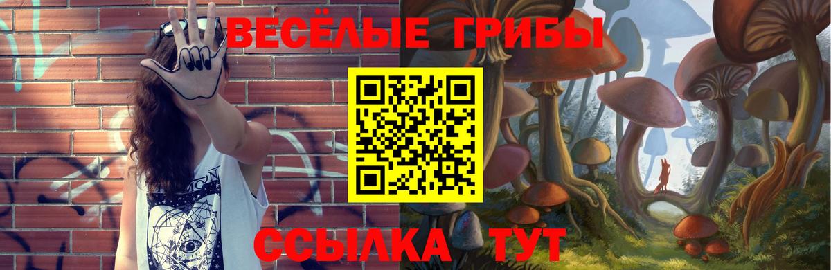 Ханты-Мансийск  Псилоцибиновые грибы мицелий  Вход с VPN  Псилоцибиновые грибы Psilocybine cubensis 